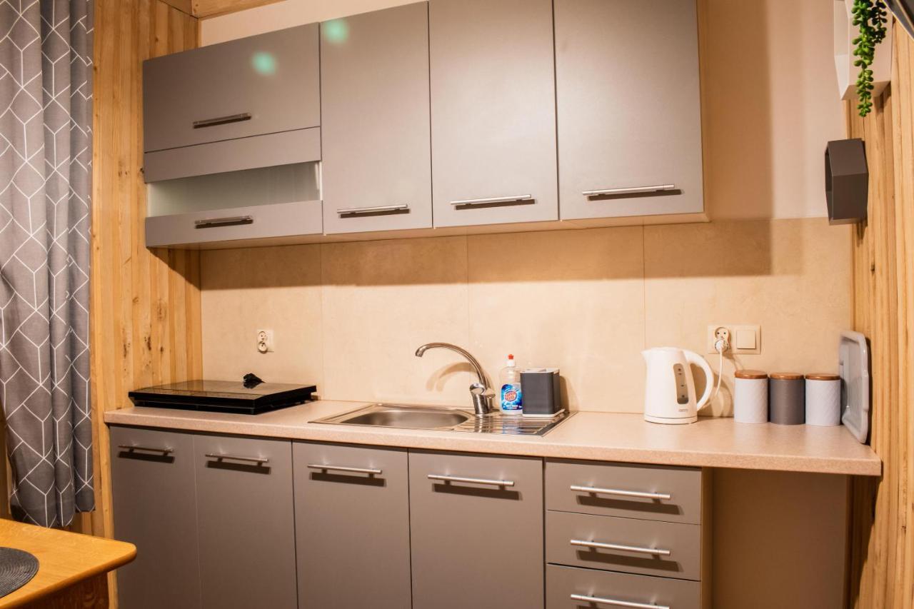 Apartment Dwupoziomowe U Ciotki Murzasichle
