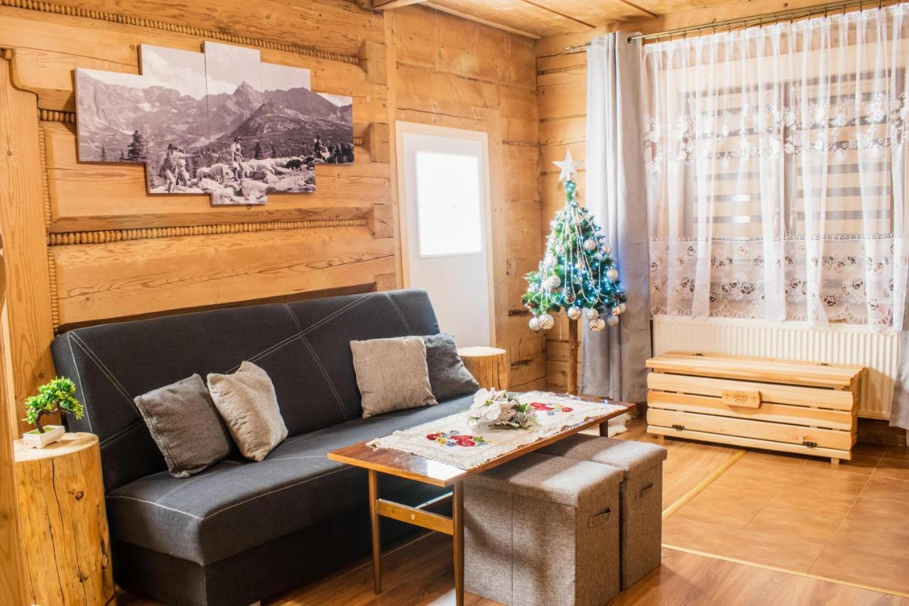 Dwupoziomowe U Ciotki Apartment Murzasichle